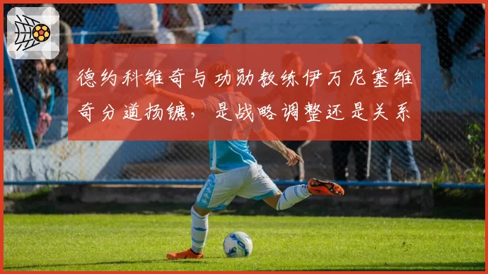 德约科维奇与功勋教练伊万尼塞维奇分道扬镳，是战略调整还是关系破裂？