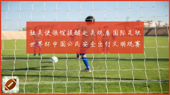 驻美使领馆提醒赴美观看国际足联世界杯中国公民安全出行文明观赛