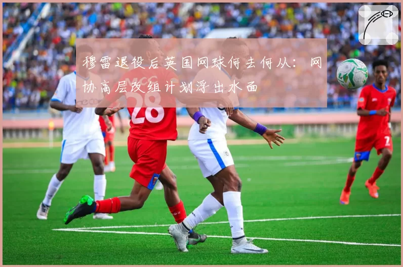 穆雷退役后英国网球何去何从:网协高层改组计划浮出水面