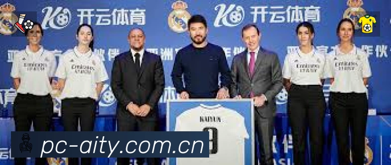 全球访问热力分布图